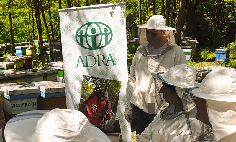 Мед